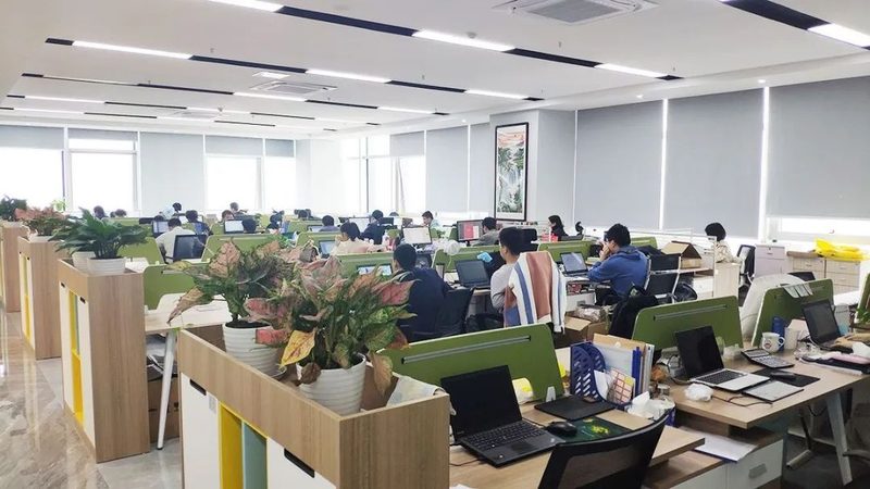 系统运维与网络运维：职业发展路径的差异化解析